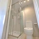 Skol 206